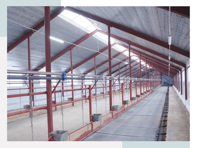 Строительство коровников в Батайске от 607 руб.