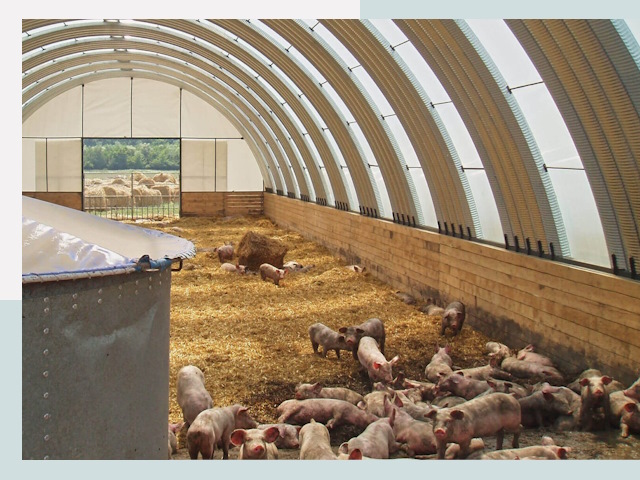 Строительство свинарников в Батайске